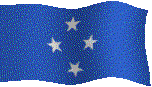 FSM flag